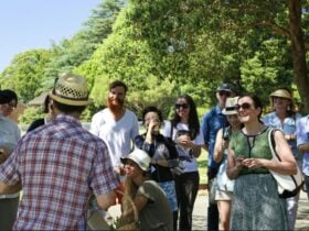 Forager with basket talking to a group of smiling people in a park