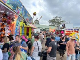 People buying showboats