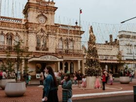 Christmas lights on Town Hall and Christmas Tree