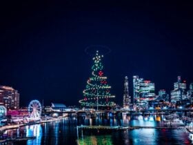 Christmas tree drone light show