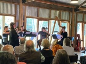 Lyrebird Festival 2024