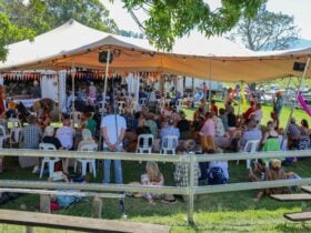 Audience at the 2025 Cobargo Folk Festival sitting at the Yuin Folk Club stage watching a performanc