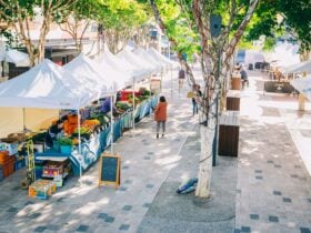 View of Growers Market