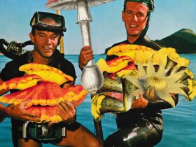 Speafishing with fungi catch