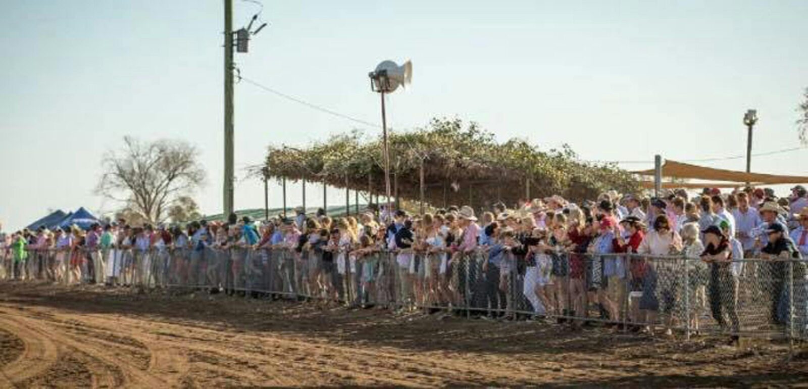 The Crowd