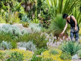 Connections Garden Tour