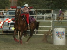 Coonabarabran Show