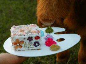 floral decorated cake on a painters style board about to be eaten by a highland cow
