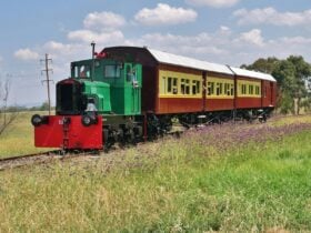 Cowra Train Rides edit2