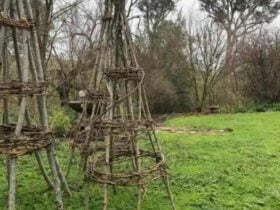 Create an Obelisk and Cloche â With Penny Kerr in Yass Valley