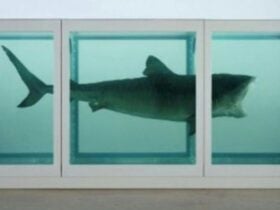 Damien Hirst and Contemporary Art