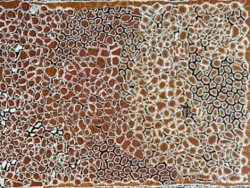 Indigenous art painting by Walangkura Napanangka