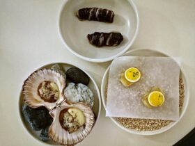 3 plates of truffled tasters