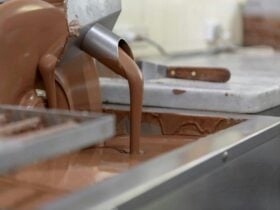 Chocolate Production. The Treat Factory