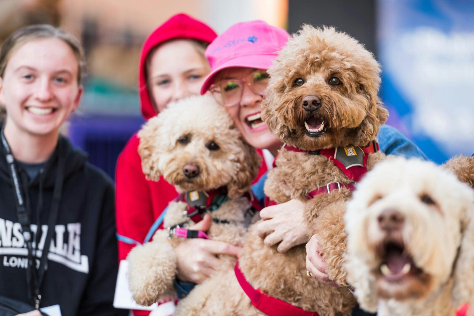 Happy Woman with dogs