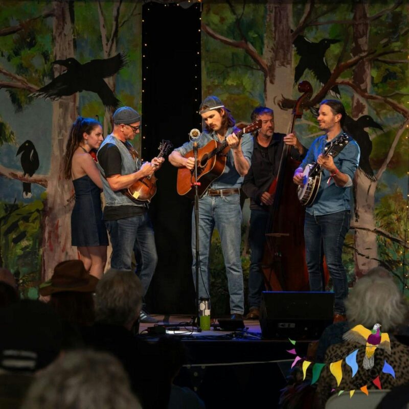 Band at Dorrigo Bluegrass Festival 2025