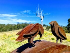 A sculpture of a two birds on a kangaroo by Jimmy Rix, photo by Suzannah Jones
