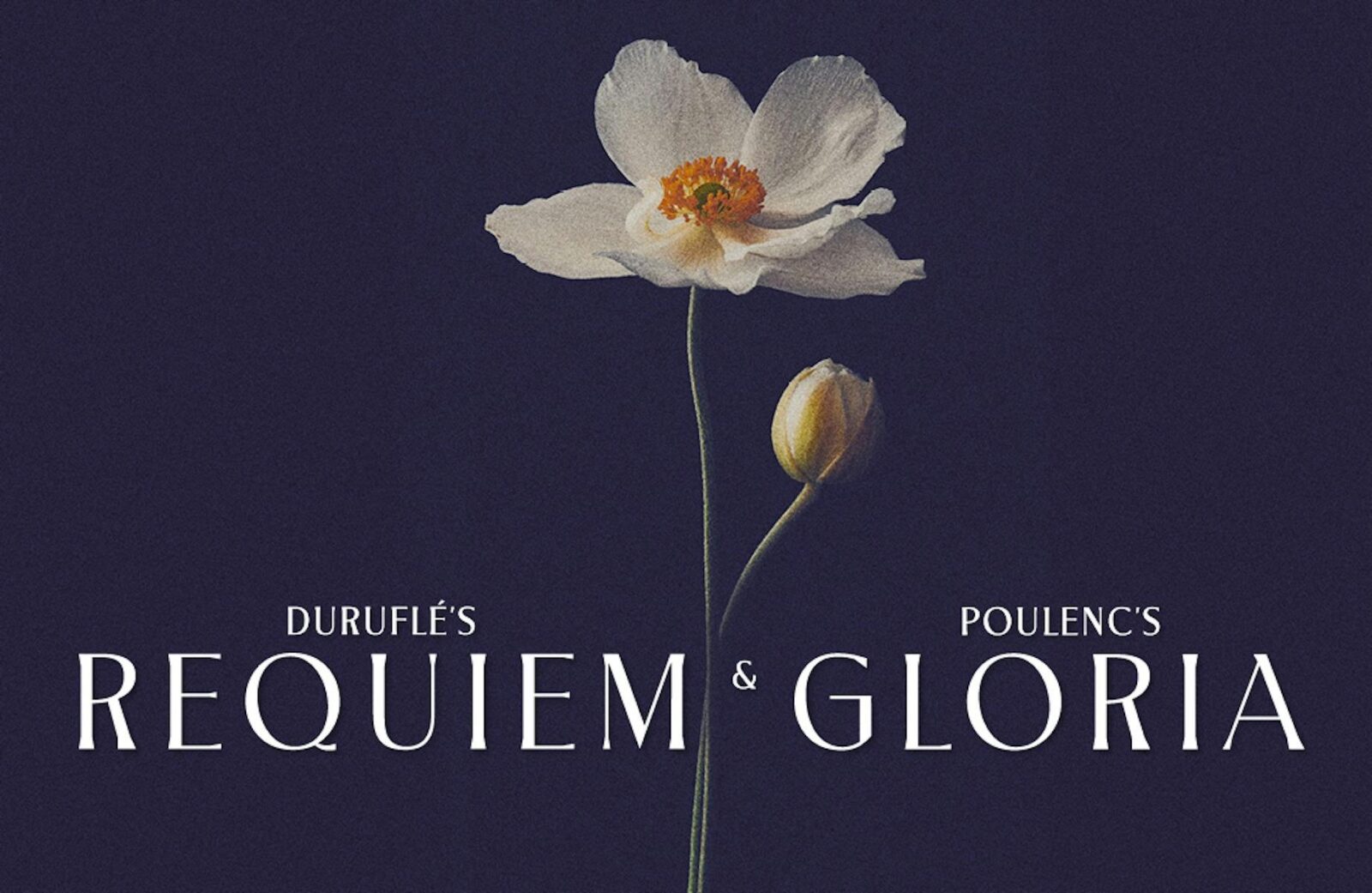 A delicate white flower with a bud on a dark background, framing the text "DuruflÃ©