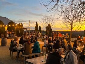 Friday Summer Sessions with Live Music from 5pm at Cupitt