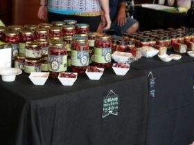 Table with bottled Olives, jars of spices and dishes with olives and spices in them for taste testing