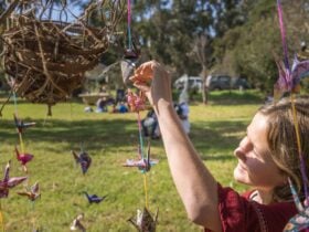 Community art installation