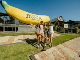 The Big Banana landmark in Coffs Harbour, highlighting a weekend getaway for country racing.