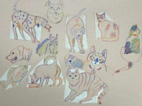Drawings of animals by artist Tullulah Cunningham