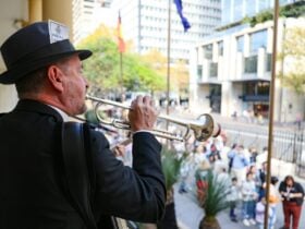 Musicians at Festival of Democracy