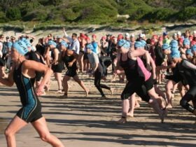 Swim Start Port Stephens