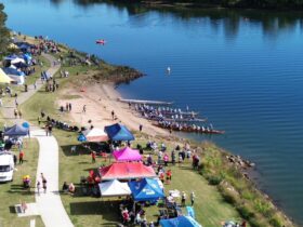 Regatta Scene - Drone 2023