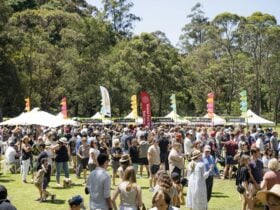 a crowd of people in front of food and wine stalls