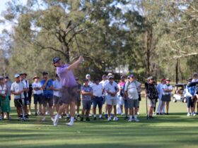 Golfer hitting a ball on the fairway