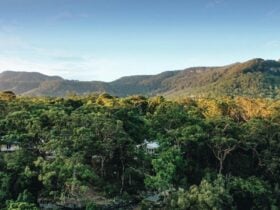 Wildwood Kangaroo Valley
