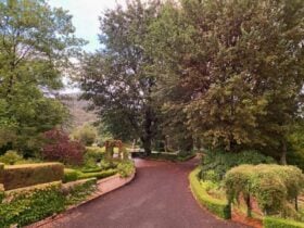 Macquariedale Wines