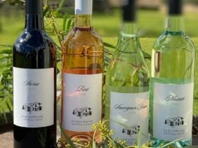 Wine bottles on display outside