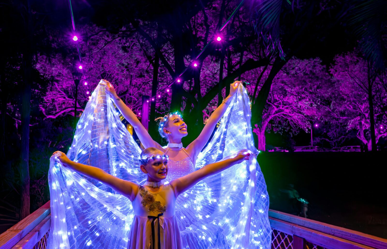 Jacaranda Festival Kick off Event