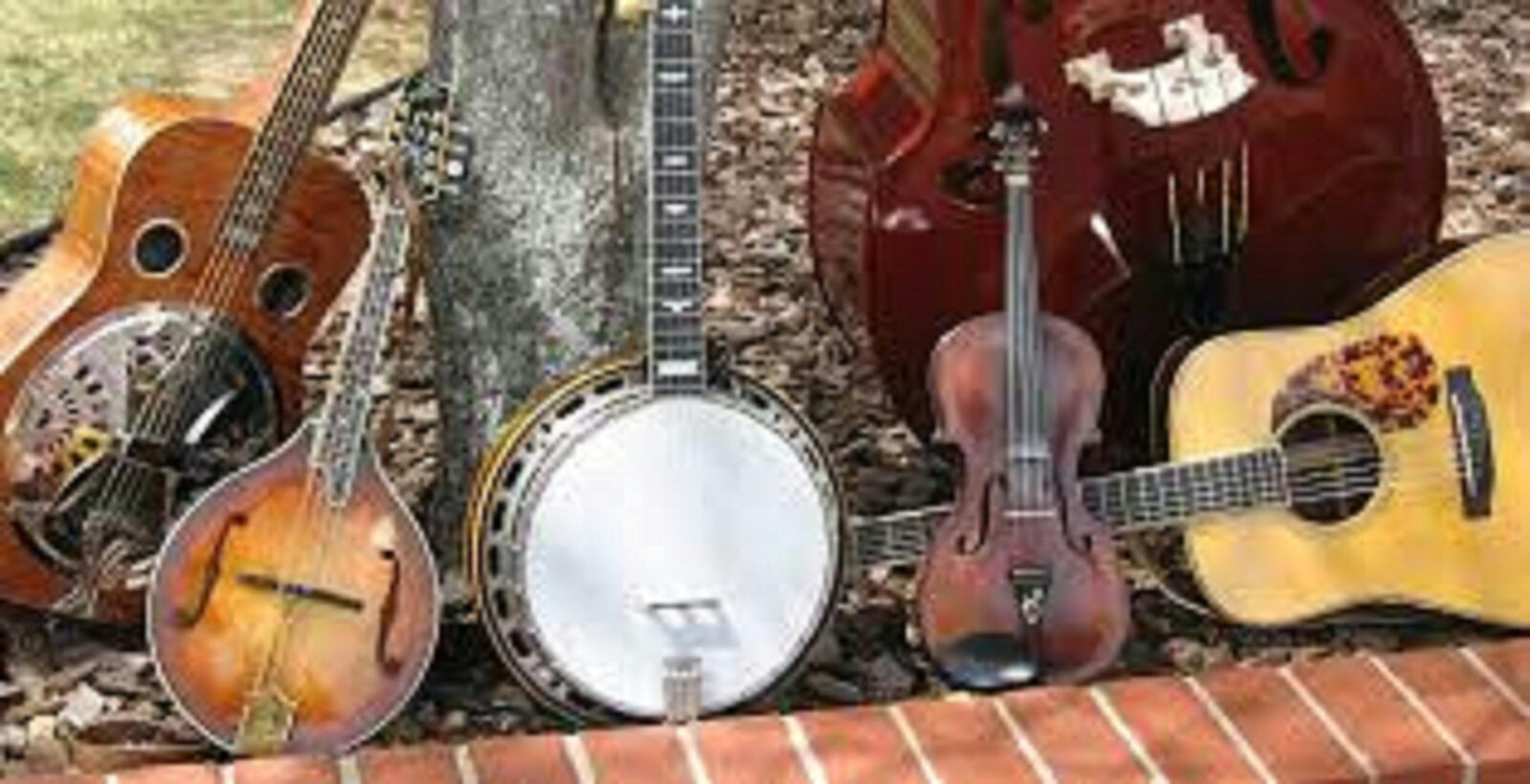 GDFF Instruments