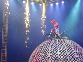 Great Moscow Circus