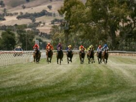 Racehorses and jockeys charging down the straight at Gundagai Racecourse on race day