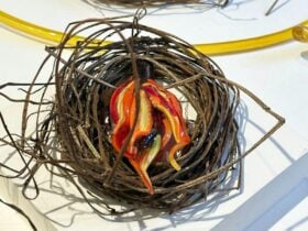 Bleeding Hearts and Morning Glory