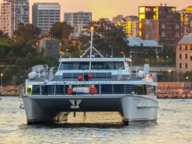 Harbourside Cruises