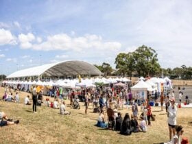 Heffron Park Market over-view photo