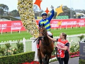 Hill Stakes
