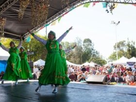 Multicultural Fiesta