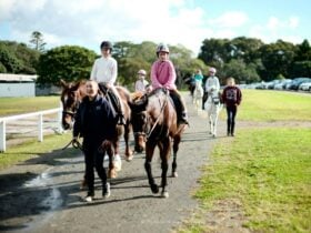 Horse Riding Camp