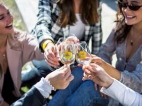 High class wines for tasting at Hunter Valley Wine Festival