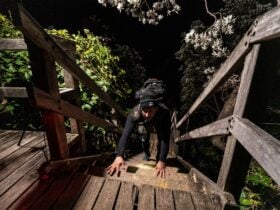 A person scales a wooden staircase.