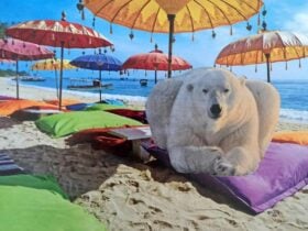 Georgina Clark artwork