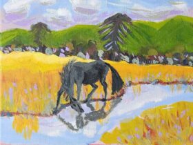 Lynn Jenkin Art