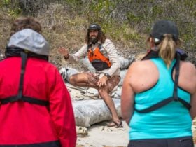 Guide pointing to shells in rocks